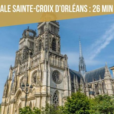 Apartmán Le Micy - Joli T2 + Parking Orléans Exteriér fotografie