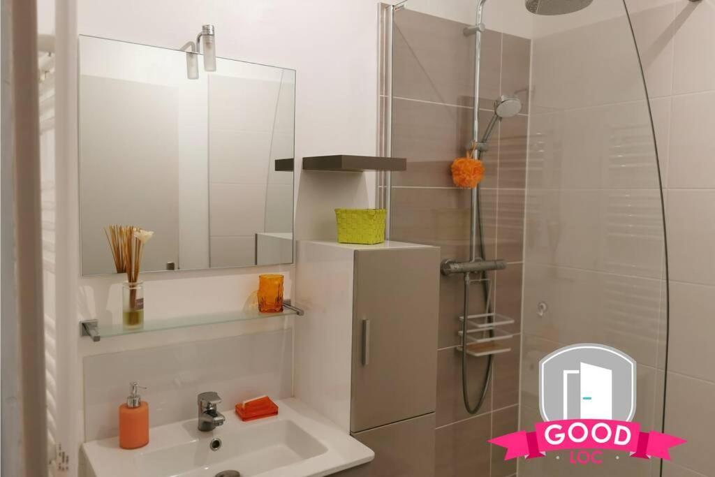 Apartmán Le Micy - Joli T2 + Parking Orléans Exteriér fotografie