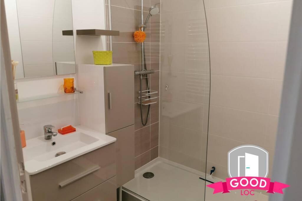 Apartmán Le Micy - Joli T2 + Parking Orléans Exteriér fotografie