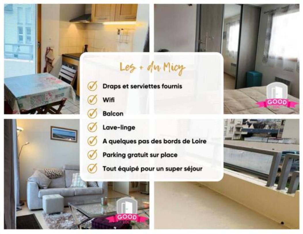 Apartmán Le Micy - Joli T2 + Parking Orléans Exteriér fotografie